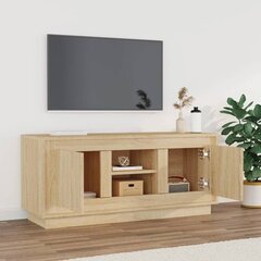 TV skapītis ar durvīm vidaXL, 102x35x45 cm, brūns cena un informācija | TV galdiņi | 220.lv