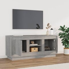 TV skapītis ar durvīm vidaXL, 102x35x45 cm, pelēks цена и информация | Тумбы под телевизор | 220.lv