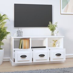 TV skapītis vidaXL, 100x35x50 cm, balts cena un informācija | TV galdiņi | 220.lv
