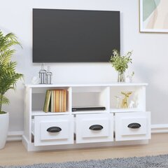 TV skapītis vidaXL, 100x35x50 cm, balts цена и информация | Тумбы под телевизор | 220.lv