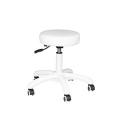 Профессиональный стул-табурет для мастера красоты AM-303-2, белого цвета цена и информация | Мебель для салонов красоты | 220.lv