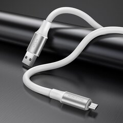 Borofone Cable BX82 Bountiful - Type C to Type C - 60W 3A 1 metre white цена и информация | Кабели для телефонов | 220.lv