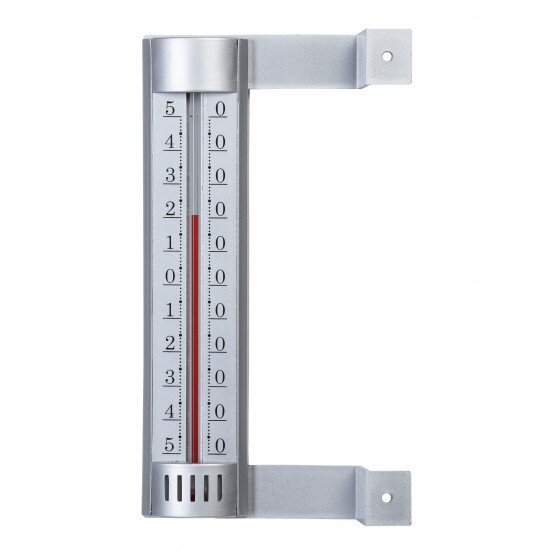 T306 Āra termometrs sudraba krāsā цена и информация | Mitruma, temperatūras, pH, ORP mērītāji | 220.lv