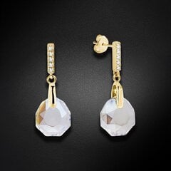 Серебряные серьги "Калатея (Crystal Shimmer)" с кристаллами Swarovski™ DS02A576 цена и информация | Серьги | 220.lv