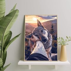 Картина по номерам На раме "Ручной волк" Oh Art! 40x50 цена и информация | Живопись по номерам | 220.lv