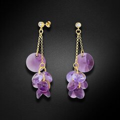 Sudraba auskari "Orhideja (Iris / Violet)" ar Swarovski™ kristāliem DS02A587 cena un informācija | Auskari | 220.lv