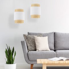 Micadoni Home piekaramā lampa Castor цена и информация | Люстры | 220.lv