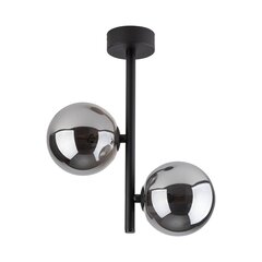 Подвешиваемый светильник Micadoni Home Alioth цена и информация | Настенный/подвесной светильник Eye Spot 11 BL, чёрный | 220.lv