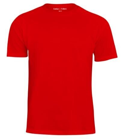T-krekls vīriešiem VCA 1951, sarkans cena un informācija | Vīriešu T-krekli | 220.lv