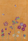 Paklājs Happy Day 3bg-0u-Orange 170x240 cm цена и информация | Paklāji | 220.lv