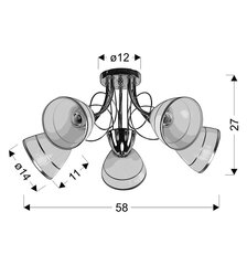 Griestu lampa 5535-77936 цена и информация | Потолочные светильники | 220.lv