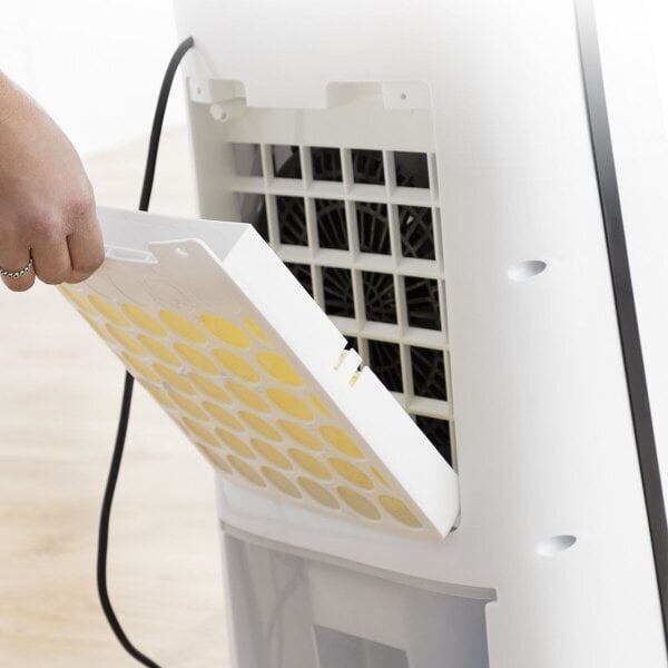 Gaisa kondicionieris jonizators 4in1, ar LED gaismu un tālvadības pulti cena un informācija | Ventilatori | 220.lv