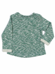 Džemperis, zaļš cena un informācija | Jakas, džemperi, žaketes, vestes meitenēm | 220.lv