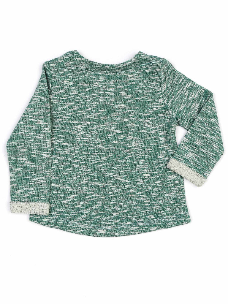 Džemperis, zaļš цена и информация | Jakas, džemperi, žaketes, vestes meitenēm | 220.lv