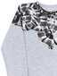 Džemperis, gaiši pelēks цена и информация | Zēnu jakas, džemperi, žaketes, vestes | 220.lv