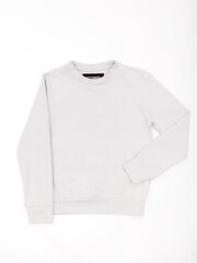 Džemperis, gaiši pelēks cena un informācija | Zēnu jakas, džemperi, žaketes, vestes | 220.lv