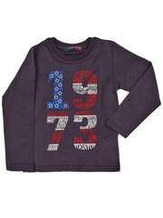 Džemperis, grafīts cena un informācija | Zēnu jakas, džemperi, žaketes, vestes | 220.lv