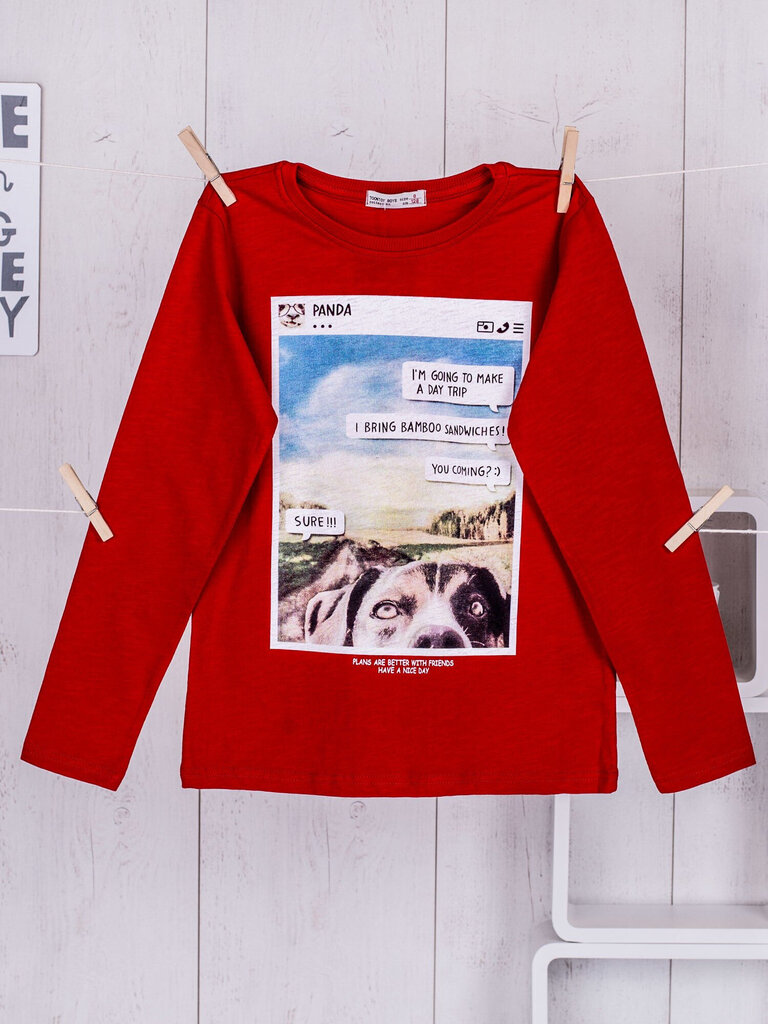 Blūze, sarkana цена и информация | Zēnu jakas, džemperi, žaketes, vestes | 220.lv