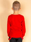 Blūze, sarkana цена и информация | Zēnu jakas, džemperi, žaketes, vestes | 220.lv