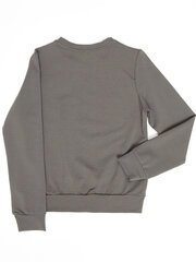 Džemperis, pelēks cena un informācija | Zēnu jakas, džemperi, žaketes, vestes | 220.lv