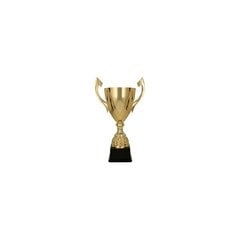 Кубок для награды цена и информация | Другие оригинальные подарки | 220.lv