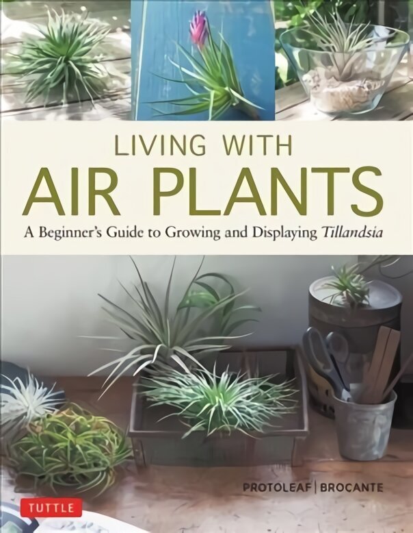 Living with Air Plants: A Beginner's Guide to Growing and Displaying Tillandsia cena un informācija | Grāmatas par dārzkopību | 220.lv