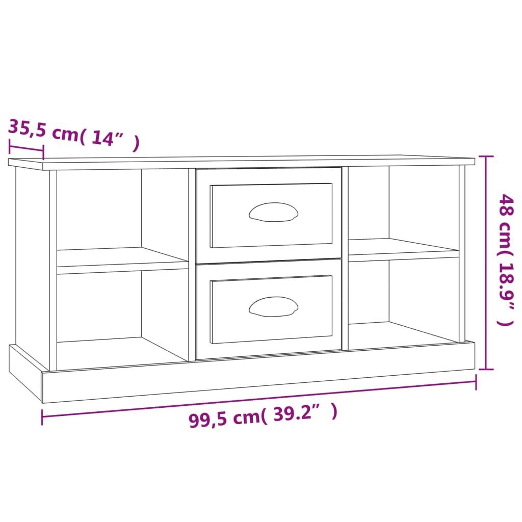 TV skapītis vidaXL, 99,5x35,5x48 cm, melns cena un informācija | TV galdiņi | 220.lv