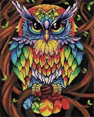 Dimanta mozaīkas komplekts 40x50 cm. "Rainbow owl " (kvadrātveida dimanti) cena un informācija | Dimantu mozaīkas | 220.lv