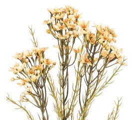 Mākslīgais vaska zieds 78CM цена и информация | Искусственные цветы | 220.lv