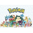 Pokemon dekoratīvais vinils