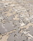 Seta Hali paklājs Gazelle 120x180 cm cena un informācija | Paklāji | 220.lv
