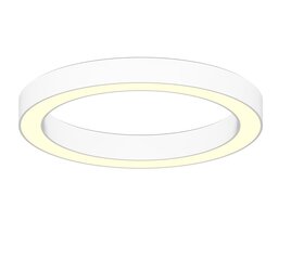 Piekarināma apaļa LED gredzenveida lampa 60W, Ø600mm цена и информация | Потолочные светильники | 220.lv