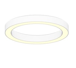 Накладной / подвесной круглый светодиодный кольцевой светильник 60Вт, Ø600 мм, белый, диммируемый цена и информация | Потолочные светильники | 220.lv