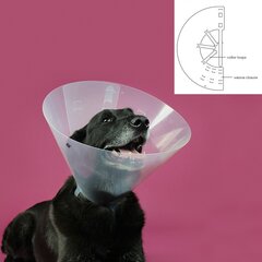 Pēcoperācijas apkakle suņiem KVP Betsy, caurspīdīga (39-48 cm) cena un informācija | Apģērbi suņiem | 220.lv