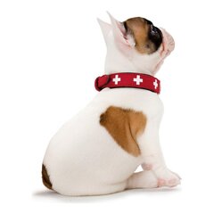 Suņa kaklasiksna Hunter Swiss, sarkana/melna (41-49 cm) цена и информация | Ошейники, подтяжки для собак | 220.lv