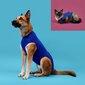 Atjaunojoša veste mājdzīvniekiem KVP, zila, 25-29 cm cena un informācija | Apģērbi suņiem | 220.lv