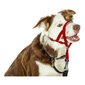 Suņu apmācības kaklasiksna Company of Animals (46-62 cm) цена и информация | Apkakles, siksnas suņiem | 220.lv