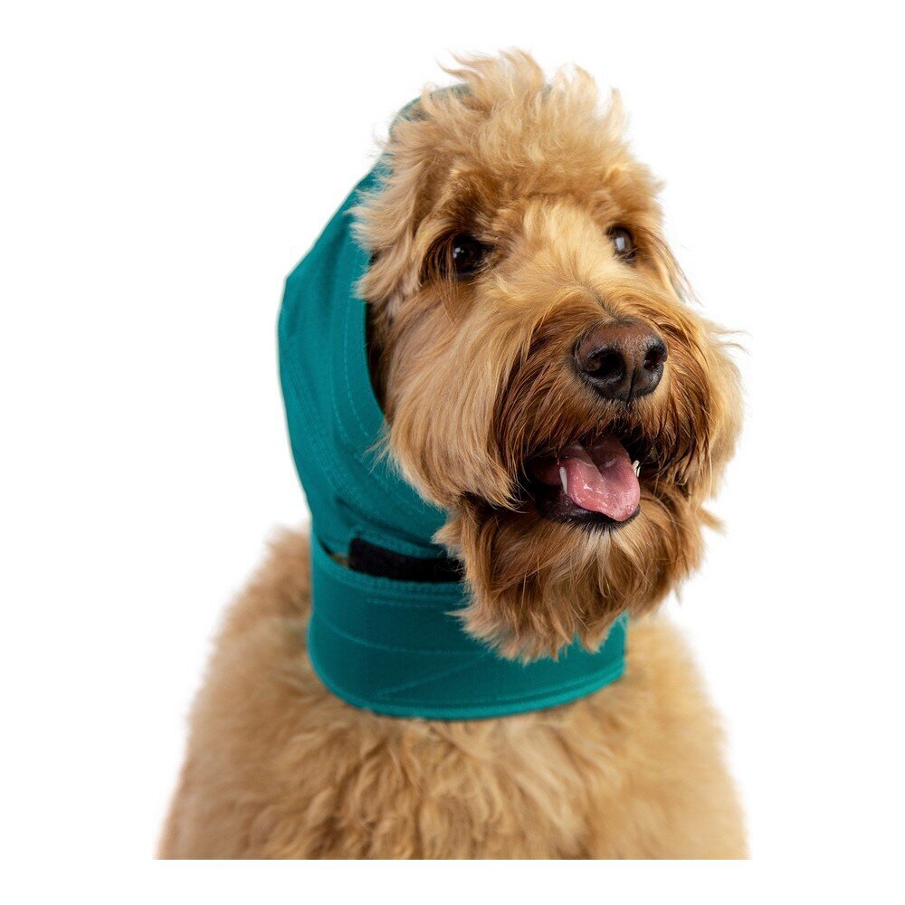 Suņu ausu aizsargi KVP, zaļi, XL цена и информация | Apģērbi suņiem | 220.lv