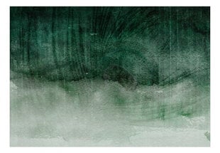 Fototapetes ar instrumentu un tapešu līmi - Noslēpumaina zaļa krāsa, 350x256 cm cena un informācija | Fototapetes | 220.lv