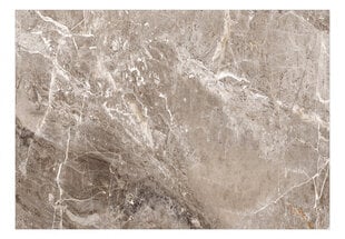 Fototapetes ar instrumentu un tapešu līmi - Fons ar abstraktu marmoru, 350x256 cm cena un informācija | Fototapetes | 220.lv