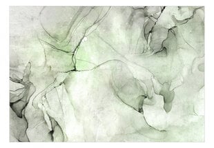 Фотообои с инструментом и клеем - Камень в зеленом цвете, 350x256 см цена и информация | Фотообои | 220.lv
