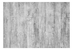 Фотообои с инструментом и клеем - Серые деревянные доски, 350x256 см цена и информация | Фотообои | 220.lv