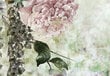 Fototapetes ar instrumentu un tapešu līmi - Skaisti pavasara ziedi, 350x256 cm cena un informācija | Fototapetes | 220.lv