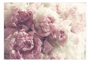 Фотообои с инструментом и клеем - Очаровательные цветущие пионы, 350x256 см цена и информация | Фотообои | 220.lv