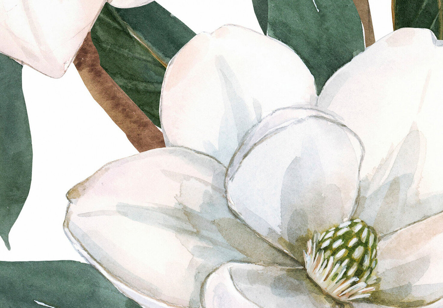 Fototapetes ar instrumentu un tapešu līmi - Akvareļu magnolijas (1. variants), 350x256 cm cena un informācija | Fototapetes | 220.lv