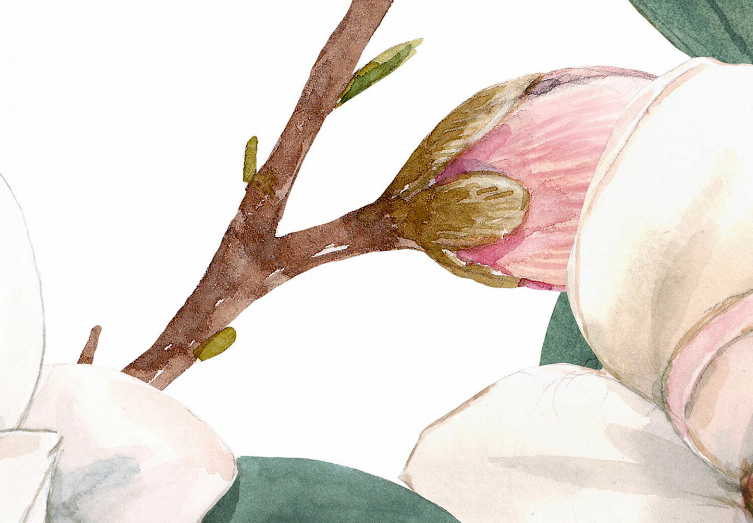 Fototapetes ar instrumentu un tapešu līmi - Akvareļu magnolijas (1. variants), 350x256 cm cena un informācija | Fototapetes | 220.lv