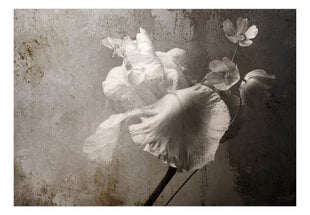 Fototapetes ar instrumentu un tapešu līmi - Vintāžas ziedi, 350x256 cm cena un informācija | Fototapetes | 220.lv