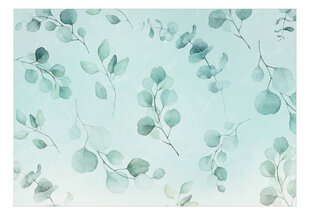 Фотообои с инструментом и клеем - Синие листья эвкалипта, 350x256 см цена и информация | Фотообои | 220.lv