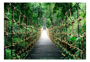 Fototapetes ar instrumentu un tapešu līmi - Tilts džungļos, 350x256 cm cena un informācija | Fototapetes | 220.lv