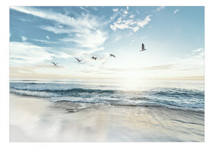 Фотообои с инструментом и клеем - Одинокий пляж, 350x256 см цена и информация | Фотообои | 220.lv